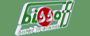 bissoft Logo